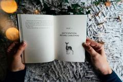 Calm Christmas and a Happy New Year