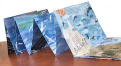 Pas cu pas spre inaltimi