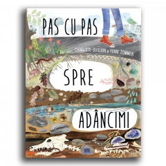 Pas cu pas spre adancimi