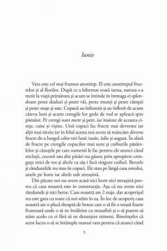 Cum mi-am petrecut vacanta de vara