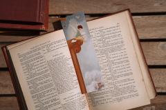 Semn de carte - mai multe modele