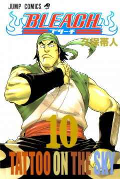 Bleach Vol. 10 