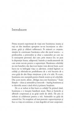 Compasiunea infinita