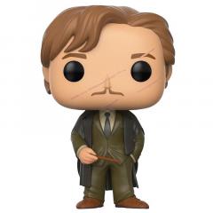 Figurina - Remus Lupin - Harry Potter