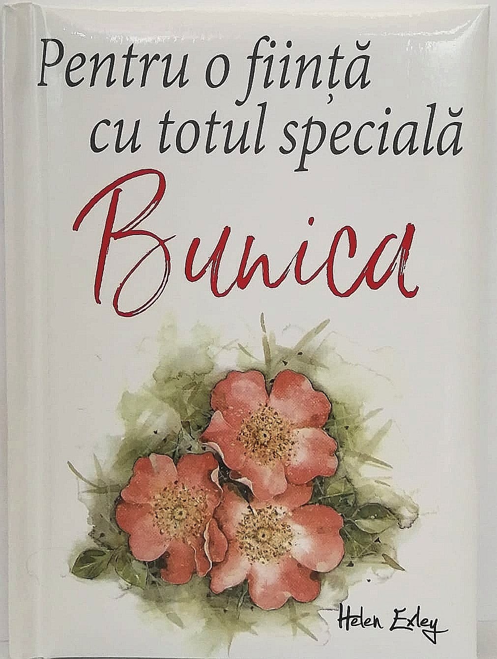Pentru o fiinta cu totul speciala: Bunica