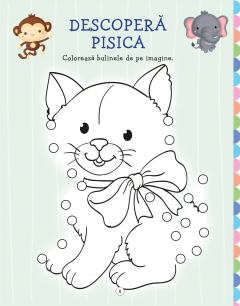 Invata singur. Carte de activitati 3+ ani