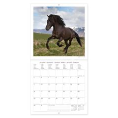 Calendar de perete 2023 - Horses, 30x29 cm