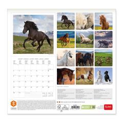 Calendar de perete 2023 - Horses, 30x29 cm
