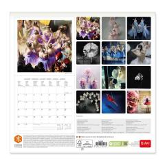 Calendar de perete 2023 - Ballet, 30x29 cm