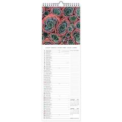 Calendar de perete 2023 - Succulents, 16x49 cm