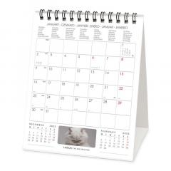 Calendar de birou 2023 - Cats, 12x14.5 cm