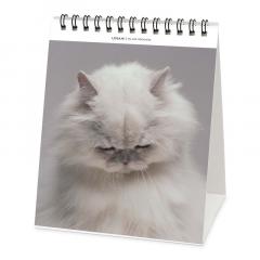 Calendar de birou 2023 - Cats, 12x14.5 cm