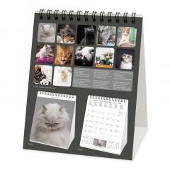 Calendar de birou 2023 - Cats, 12x14.5 cm