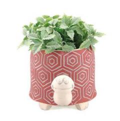 Ghiveci - Tortue Japan