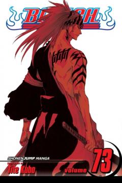 Bleach - Volume 73