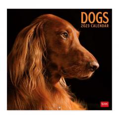 Calendar de perete 2023 - Dogs, 30x29 cm