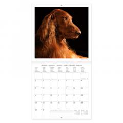 Calendar de perete 2023 - Dogs, 30x29 cm