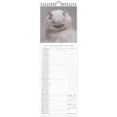 Calendar de perete 2023 - Cats, 16x49 cm