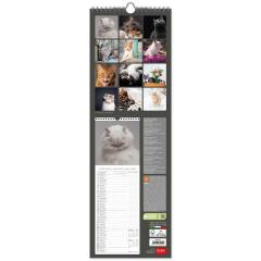 Calendar de perete 2023 - Cats, 16x49 cm