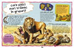 Cea mai noua carte de intrebari si raspunsuri