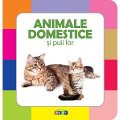 Animale domestice si puii lor