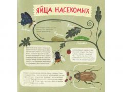 Крутые факты о яицах