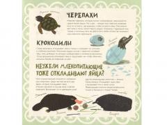 Крутые факты о яицах