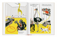 Радио-жирафф