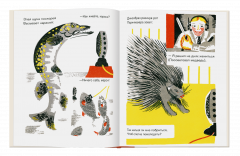 Радио-жирафф