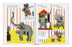 Радио-жирафф