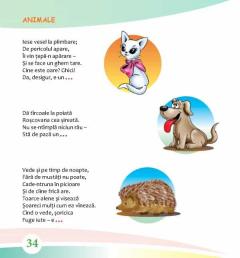 Lumea din jur in ghicitori