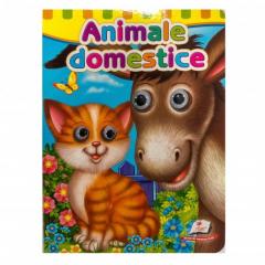 Animale Domestice