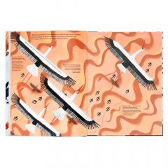 Тысяча и одна птица