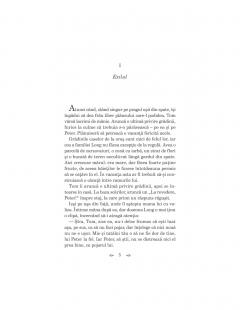 Gradina de la miezul noptii