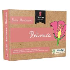 Lectii Montessori - Botanica