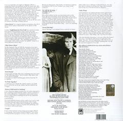 Nothing Like The Sun - Vinyl