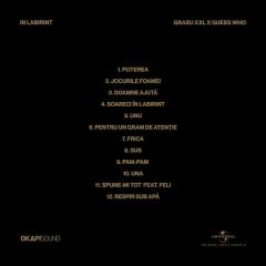 In labirint - Vinyl