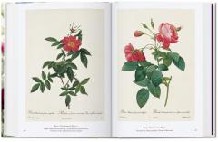 Pierre-Joseph Redoute. The Book of Flowers