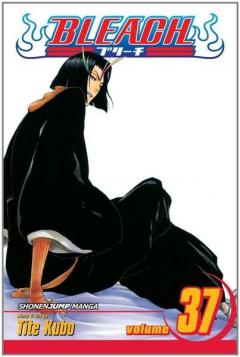 Bleach Vol. 37