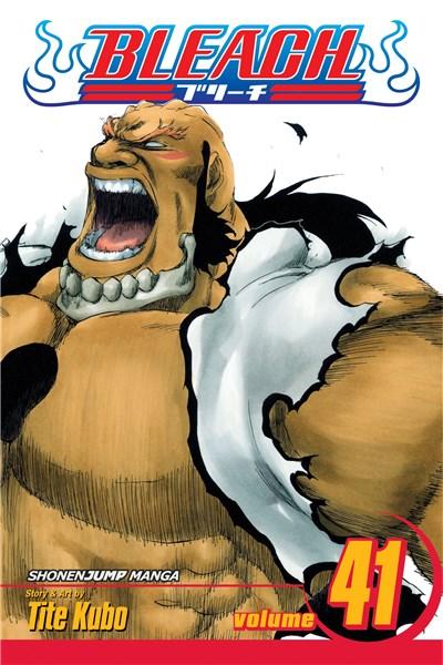 Bleach Vol. 41
