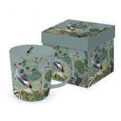 Cana - Trend - Amazonas