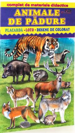 Animale de padure. Placarda-Loto-Desene de colorat