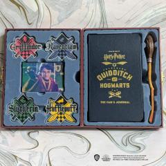 Harry Potter Quidditch at Hogwarts