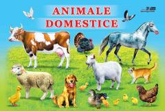 Animale domestice