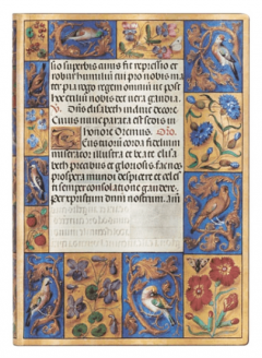 Carnet - Midi, Unlined - Ancient Illumination - Spinola Hours