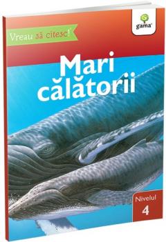 Mari calatorii 