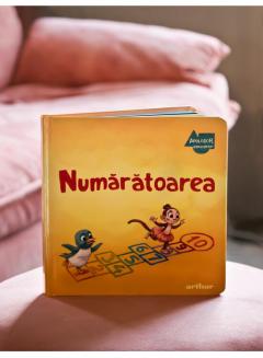 Apolodor educator: Numaratoarea