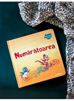 Apolodor educator: Numaratoarea