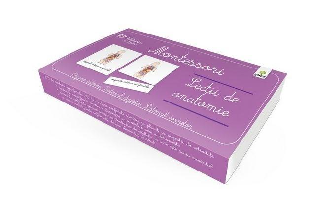 Lectii de anatomie. Organe interne Sistemul digestiv. Sistemul excretor