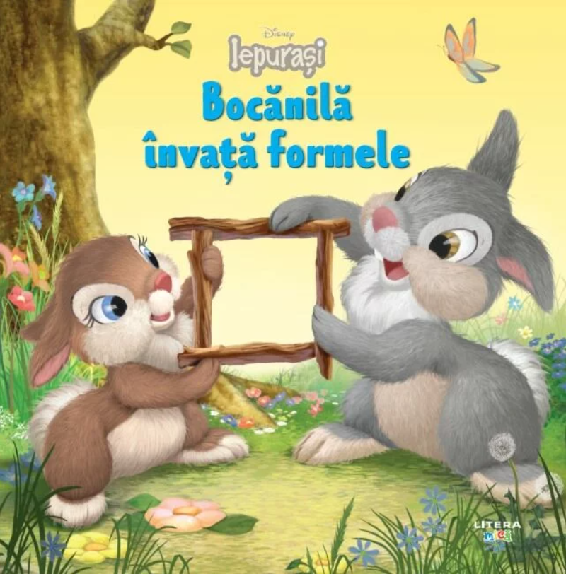 Bocanila invata formele